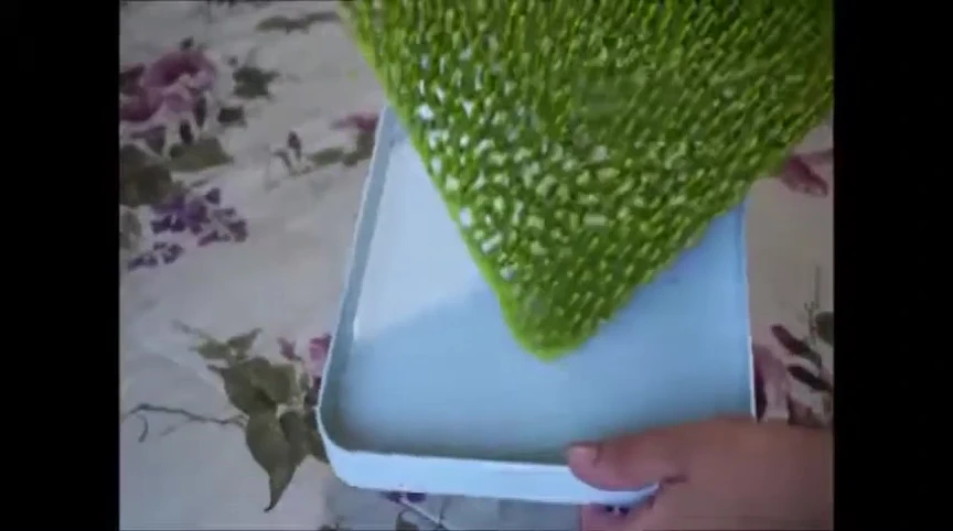 Water collected in the base tray
