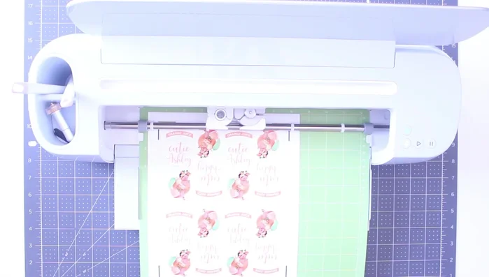 Cut the labels using your Cricut machine.