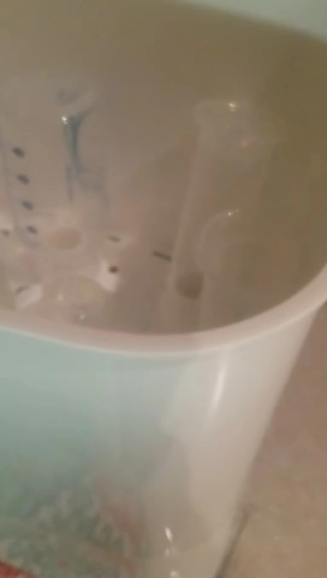 Final shot showing all the bottles loaded into the sterilizer.