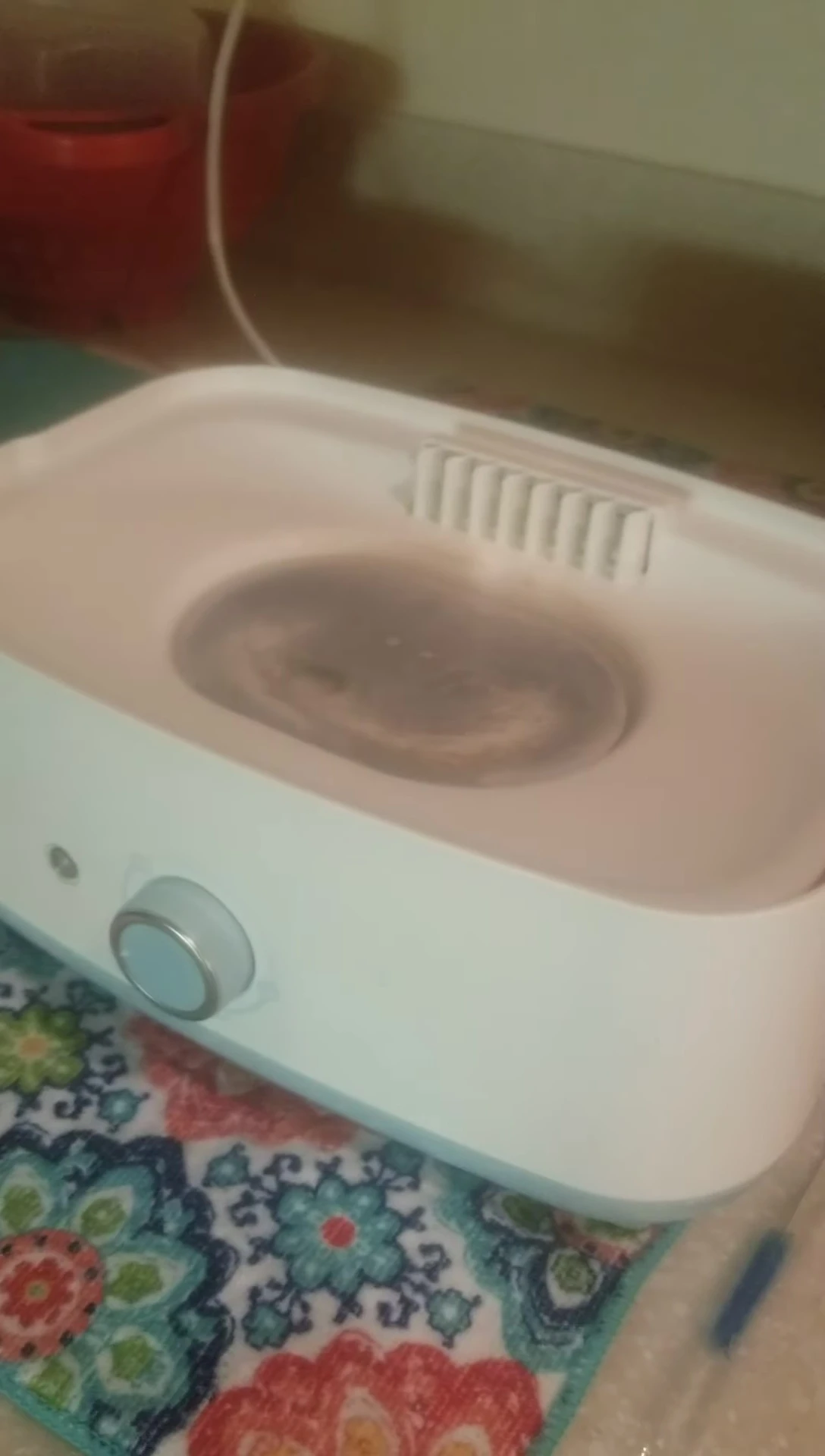 The sterilizer before cleaning, showcasing some residue.