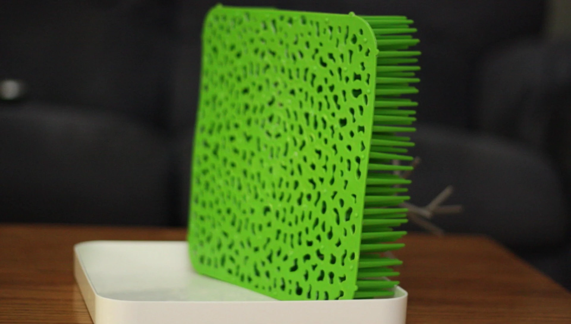 Speaker demonstrates cleaning the removable grass section.