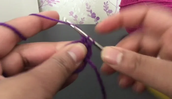 Slip stitch to join the round. Chain three.